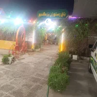 صندوقدار آقا یا خانم