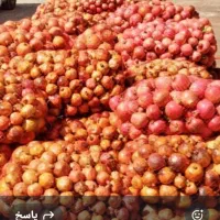 خریدار انار توری ودو۲