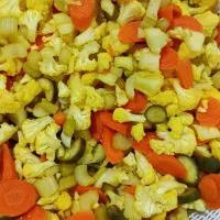 سالاد گوجه و بادمجون شکمپر|عمدهفروشی|تربت جام, جامی|دیوار