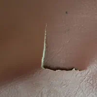 تشک ورزشی ژیمناستیک. باله|تجهیزات ورزشی|تهران, صد دستگاه|دیوار