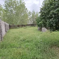 زمین مسکونی ۶۲۰ متری سند تک برگ و پروانه ساخت|فروش زمین و ملک کلنگی|رشت, گلسار|دیوار