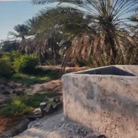 فروش زمین|فروش زمین و ملک کلنگی|بند زرک, |دیوار