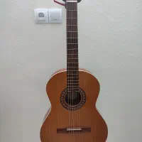 گیتار پارسی m5