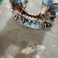 لوازم آکواریم|ماهی|اسلامشهر, شهرک توحید|دیوار