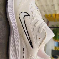 کتونی مردانه و زنانه|کیف، کفش، کمربند|رشت, چله خانه|دیوار