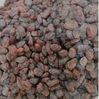 کشمش درجه ۱ کشمش آفتابی|خوردنی و آشامیدنی|تهران, زعفرانیه|دیوار