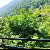 ۴۰۰متر ویلا دربست۴ خ تراس چیدمانی ویو بینظیر شیک|اجارهٔ خانه و ویلا|رامسر, |دیوار