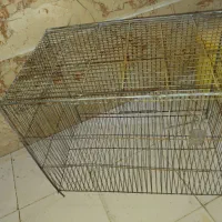 قفس بزرگ