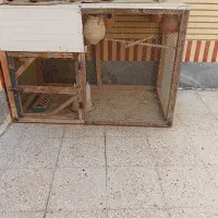 مرغ عشق با قفس و کوزه
