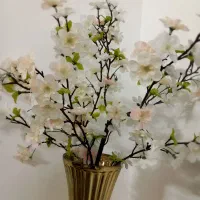 گل وگلدان کنار سالنی