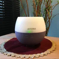 فروش ۱۰۰ عدد دستگاه بخورdoterra یکجا|پنکه و تصفیه‌کنندهٔ هوا|تهران, آرژانتین|دیوار