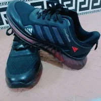 سایز ۴۱ خارجی اصل|کیف، کفش، کمربند|یاسوج, |دیوار