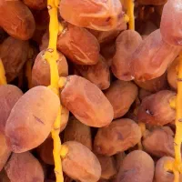 خرما زاهدی،قصب|خوردنی و آشامیدنی|شیراز, تاچارا|دیوار