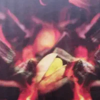 زغال حبه ای