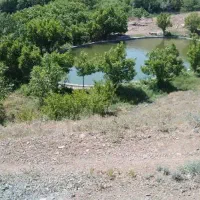 باغ خوش آب و هوا