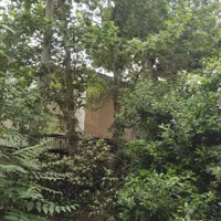 نیاوران ۲۱۰ متر ۲ طبقه بنا|فروش زمین و ملک کلنگی|تهران,  امام زاده قاسم (نیاوران)|دیوار