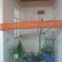 رهن و اجاره|اجارهٔ خانه و ویلا|دورود, |دیوار