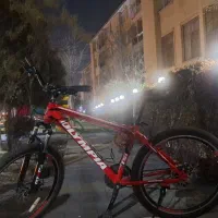 المپیا سایز ۲۶درحد