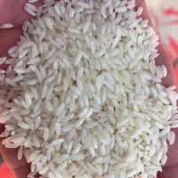 برنج سونامسوری ونیم دانه پاکستانی