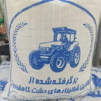 برنج کامفیروزی