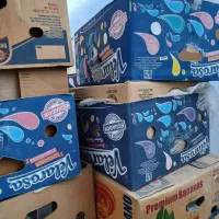 50 عدد کارتن موزی به فروش میرسد