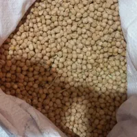 نخود درجه یک