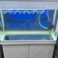 فروش اکواریوم