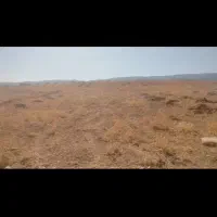 زمین-باغ-هفت-برم-پروژه-یاقوت