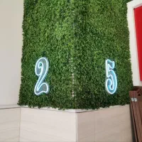 سبزه مصنوعی