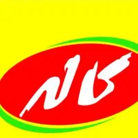 جذب ویزیتور در شهرستان عنبرآباد