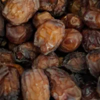 فروش خرما خاصه اجیلی اعلا