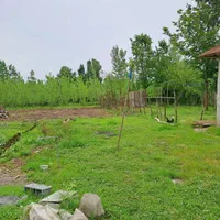 8000متر بهترین گزینه سرمایه گذاری و ساخت گلخانه‌