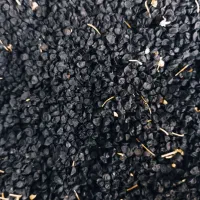 فروش بذر پیاز محلی درجه یک