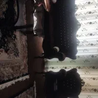 مبل ۹نفره با میز و عسلی شیک و بروز|مبلمان خانگی و میز عسلی|شاهین‌شهر, کوی مهدیه|دیوار