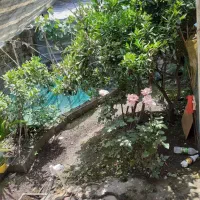 ویلای ۳۵۰ متری فقط ۲،۴۵۰ ( شهر باران ، فلاح )371|فروش خانه و ویلا|لشت نشا, |دیوار