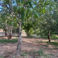 700متر-باغ-کنتور-و-سند-دار