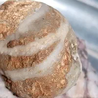 سنگ قیمتی و کمیاب|کلکسیون اشیاء عتیقه|سلیمان, |دیوار