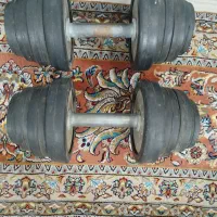 دمبل ورزشی