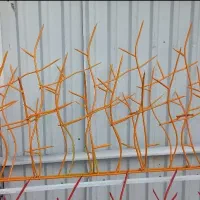 کارخانه تولید حفاظ روی دیوار ( ایمن سازان شهر )|خدمات پیشه و مهارت|مشهد, الهیه|دیوار