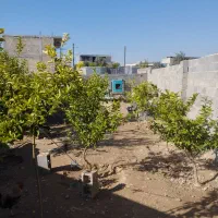 زمین مسکونی