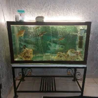 آکواریوم با تمام وسایل