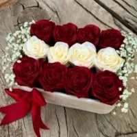 نواع گل ربانی جاویدان|گل مصنوعی|زاهدان, |دیوار