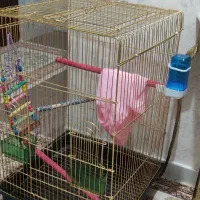 قفس بلند طلائی|لوازم جانبی حیوانات|سهند, |دیوار