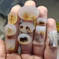 مجموعه های عقیق شجر طبیعی