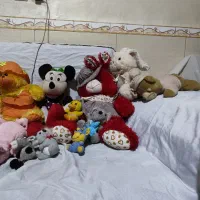 عروسک پولیشی