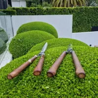 هرس. باغچه ودرخت. سم پاشی درختان وگل وگیاه|خدمات باغبانی و درختکاری|عباسآباد, |دیوار