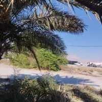 زمین 200متر