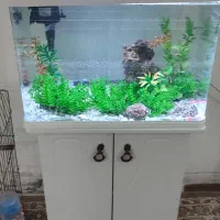 آکواریوم نو سالم