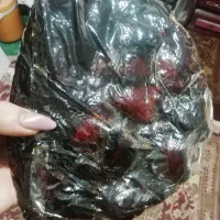 خرمای کبکاب درشت|خوردنی و آشامیدنی|برازجان, |دیوار