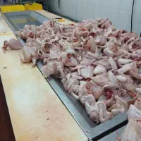 نیروی کار برای قطعه بندی مرغ|استخدام خدمات فروشگاه و رستوران|اصفهان, قهجاورستان|دیوار